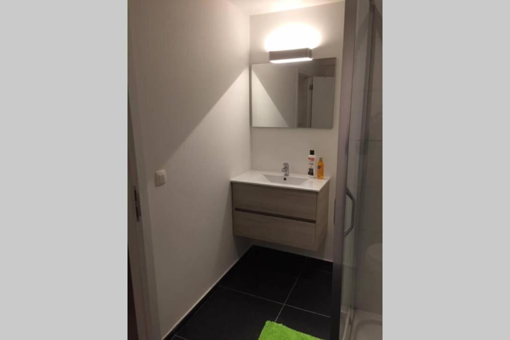 Appartement Duplex Pour 3-4 Personnes A Ciney Dış mekan fotoğraf